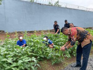 Wujudkan Ketahanan Pangan, Kalapas Narkotika Karang Intan Pantau Langsung Lahan Pertanian Kedelai untuk Produksi Tempe