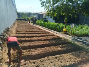 Warga Binaan Lapas Narkotika Karang Intan Rawat dan Budidayakan Tanaman Kedelai, Dukung Ketahanan Pangan Nasional