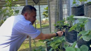 Kalapas Narkotika Karang Intan Tinjau Perdana Budidaya Jangkrik, Maggot, Burung Murai, dan Strawberry