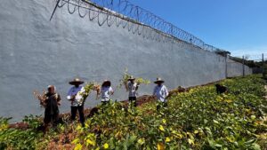 Lapas Narkotika Karang Intan Panen Kedelai, Dukung Ketahanan Pangan Nasional dan Pembinaan Kemandirian Warga Binaan