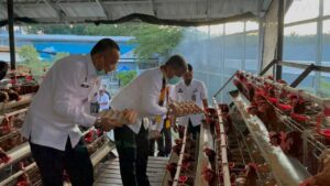 Direktur Tekforma Saksikan Langsung Program Pembinaan Peternakan Warga Binaan di Lapas Narkotika Karang Intan