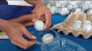 Lapas Narkotika Karang Intan Dorong Kemandirian Warga Binaan melalui Kegiatan Pembuatan Telur Asin