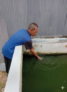 Asah Keterampilan dan Kemandirian, Warga Binaan Lapas Narkotika Karang Intan Tekuni Budidaya Ikan Lele